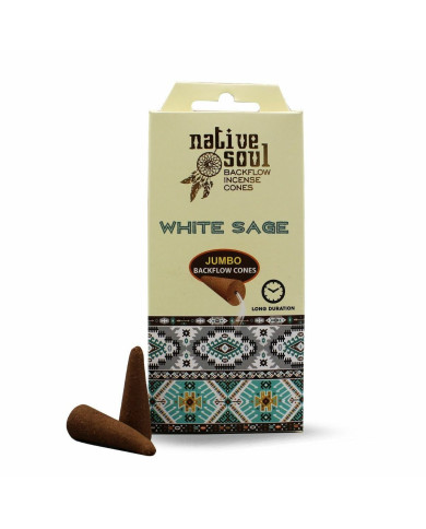 INCENSO NATIVE SOUL SÁLVIA BRANCA CONES