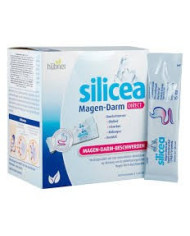 HUBNER ORIGINAL SILICEA GEL GASTROINTESTINAL DIRETO 30 SAQUETA 15ML