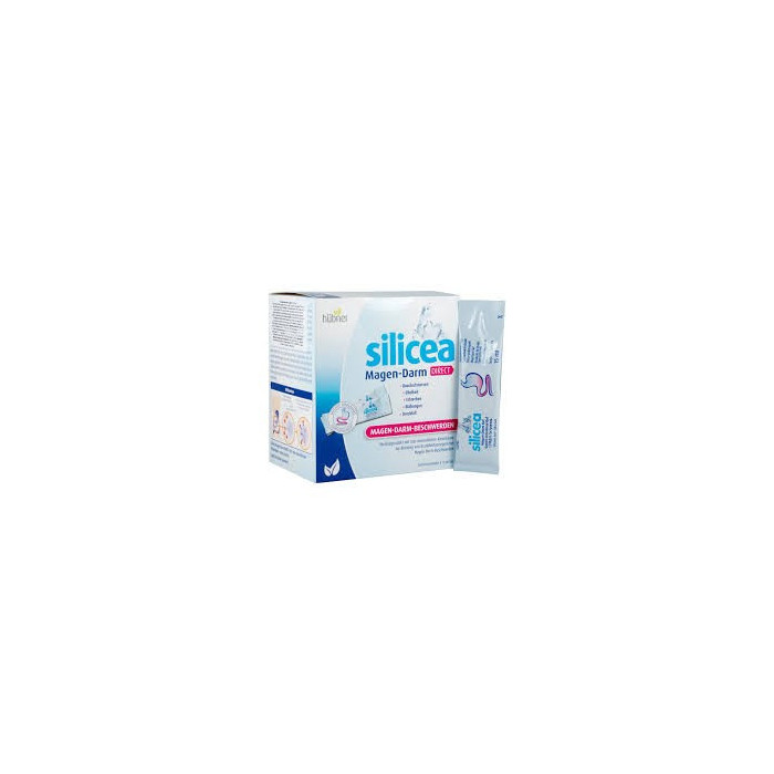 HUBNER ORIGINAL SILICEA GEL GASTROINTESTINAL DIRETO 30 SAQUETA 15ML
