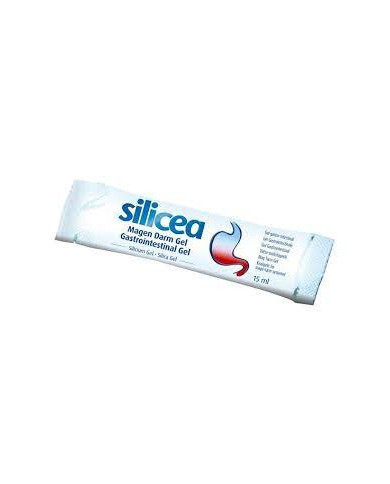 HUBNER ORIGINAL SILICEA GEL GASTROINTESTINAL DIRETO 30 SAQUETA 15ML