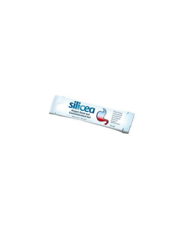 HUBNER ORIGINAL SILICEA GEL GASTROINTESTINAL DIRETO 30 SAQUETA 15ML
