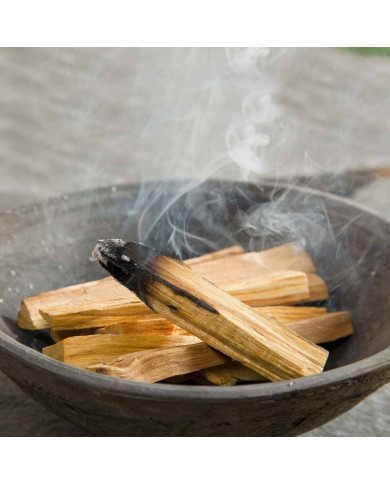 GREEN TREE PAU SANTO STICK 25 G