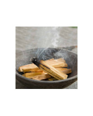 GREEN TREE PAU SANTO STICK 25 G