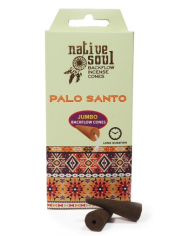 NATIVE SOUL INCENSO PAU SANTO 8 CONES