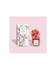 N&B AMBIENTADOR FLOR PERFUMADA SAKURA 90 ML