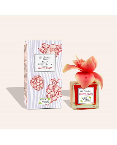 N&B AMBIENTADOR FLOR PERFUMADA FRUTOS VERMELHOS 90 ML