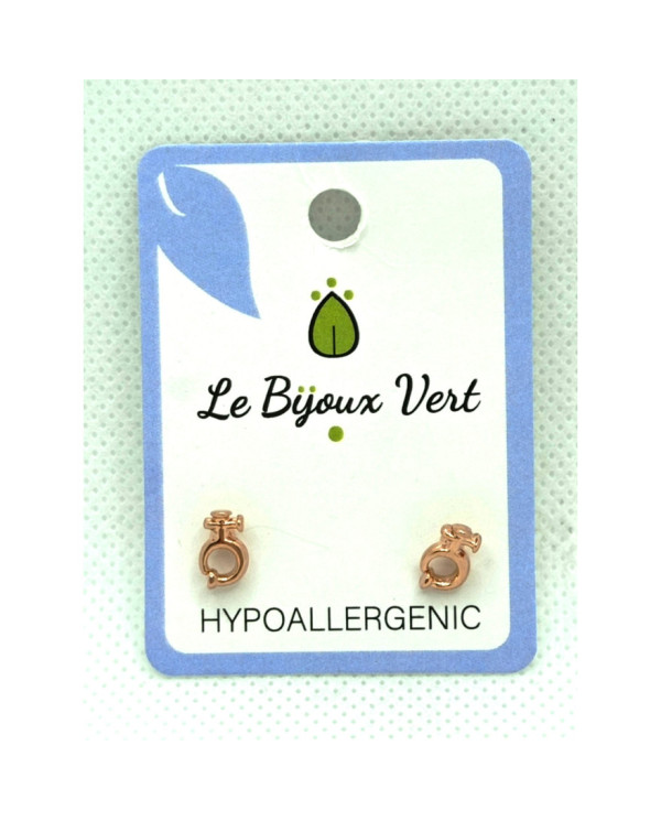 LE BIJOUX VERT BRINCOS SWAROVSKI HIPOALRGÉNICO A14