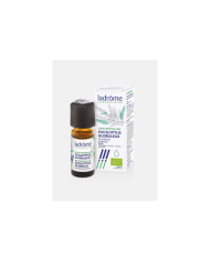 LANDROME ÓLEO ESSENCIAL EUCALIPTO GLOBULOS BIO 10 ML