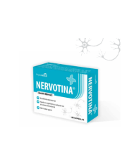 NERVOTINA® SAÚDE MENTAL 60 CAPSULAS PHYTOGOLD