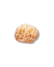 SUAVINEX ESPONJA NATURAL MÉDIA +0M