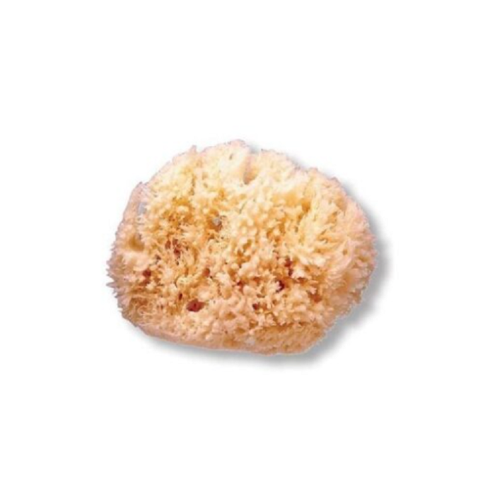 SUAVINEX ESPONJA NATURAL MÉDIA +0M