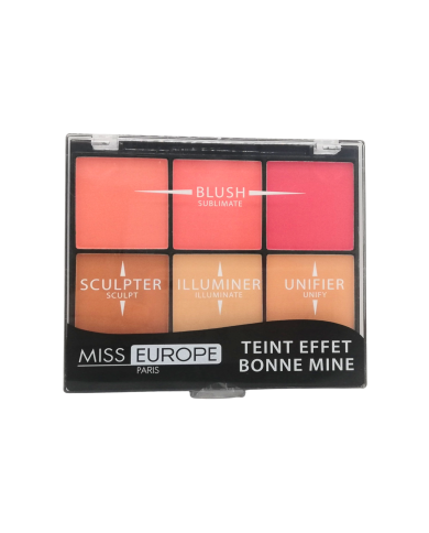 MISS EUROPE PALETA CON BUEN EFECTO BRILLO 23,4G