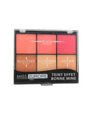 MISS EUROPE PALETTA TEINT EFFET BONNE MINE 23,4G