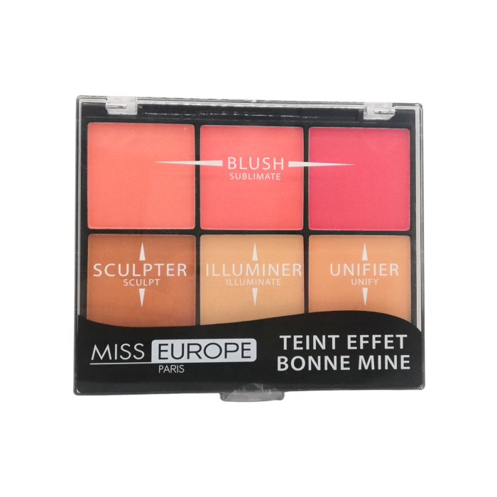 MISS EUROPE PALETA CON BUEN EFECTO BRILLO 23,4G