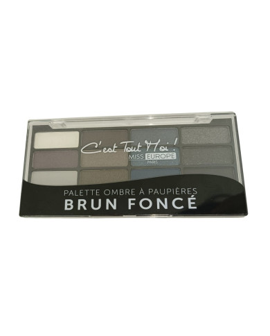 MISS EUROPE SOMBRA DE OLHOS COM 12 CORES Nº1 BRUN FONCÉ 12X1G