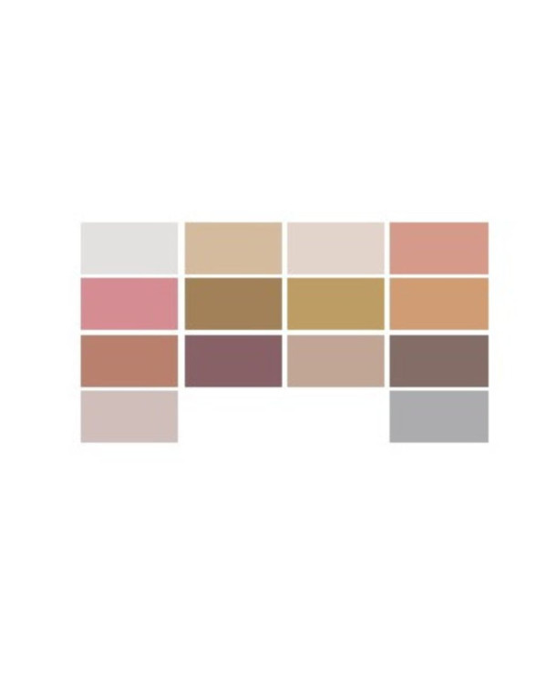 MISS EUROPE SOMBRA DE OLHOS COM 14 CORES Nº2 NUDE  11.2G