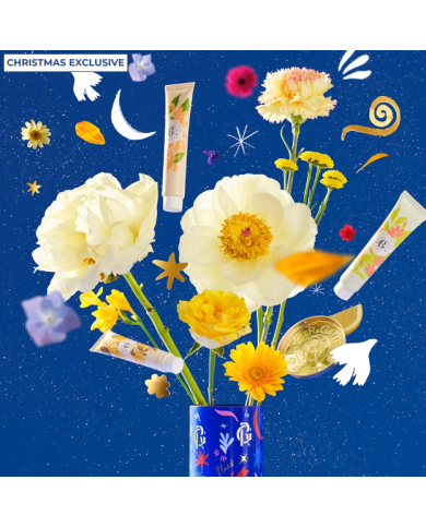 ROGER & GALLET COFFRET NATAL 3 CREMES MÃOS NEROLI/BOIS D'ORANGE/OSMANTHUS + CAIXA METAL