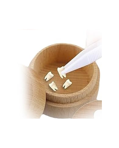 CAIXA PORTA DENTES ANIMAIS SORTIDAS