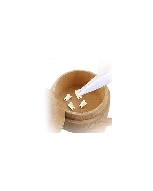 CAIXA PORTA DENTES ANIMAIS SORTIDAS