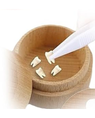 CAIXA PORTA DENTES ANIMAIS SORTIDAS