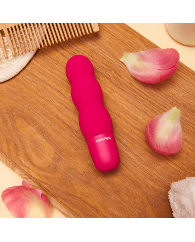 copy of CONTROL GEISHA BALLS ESTIMULADOR FEMININO