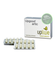 UPGOOD ARTIC 30 TABLETAS UPLIVE