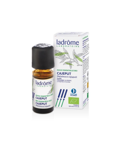 ACEITE ESENCIAL LADRÔME CAJUPUT MALALEUCA CAJUPUTI BIO 10ML