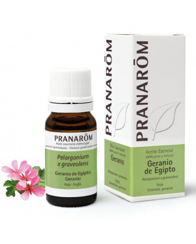 PRANAROM ACEITE ESENCIAL DE GERANIO EGIPCIO - PELARGONIUM - BIO - 10 ml