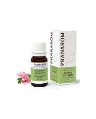 PRANAROM Óleo Essencial de Gerânio do Egipto - Pelargónio - BIO - 10 ml