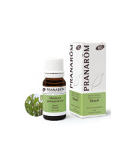 PRANAROM Óleo Essencial de Niauli BIO - 10 ml