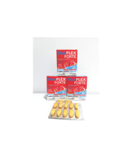 SHARFLEX FORTE 60 COMPRIMIDOS - PACK TRIPLO PHARMAVIDA