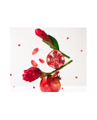 ROGER & GALLET GINGEMBRE ROUGE EAU DE TOILET 30ml