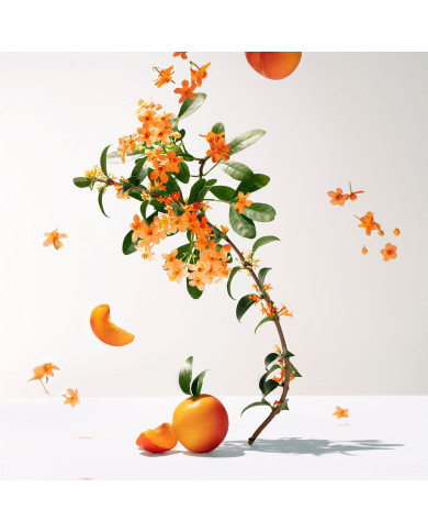 ROGER & GALLET FLOR DE OSMANTO GEL DOUCHA PERFUMADO 200ML