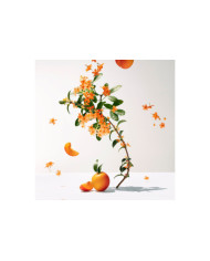 ROGER & GALLET FLEUR D'OSMANTHUS GEL DOUCHE PERFUMADO 200ML