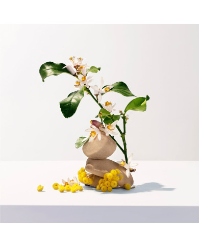 ROGER & GALLET DUCHA EN GEL PERFUMADO NÉROLI 200ML