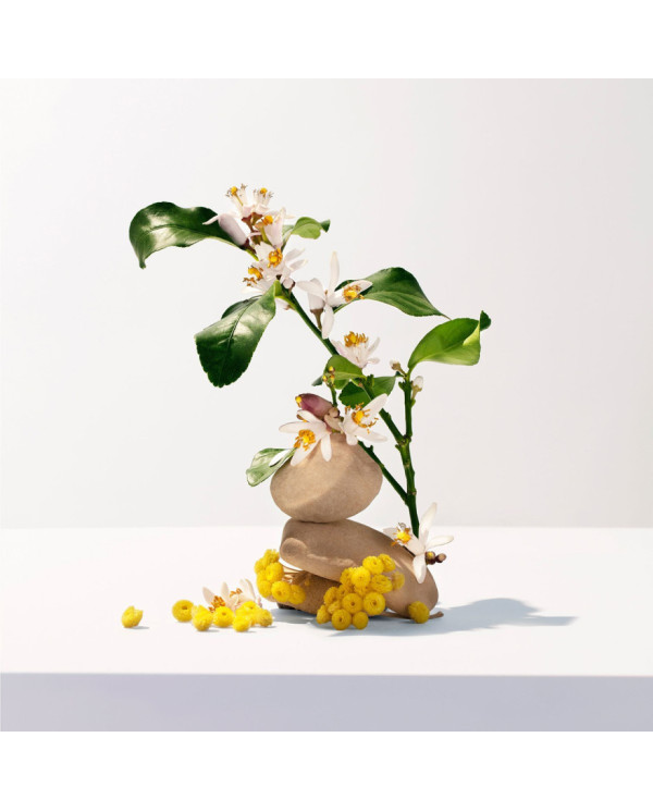 ROGER & GALLET DUCHA EN GEL PERFUMADO NÉROLI 200ML