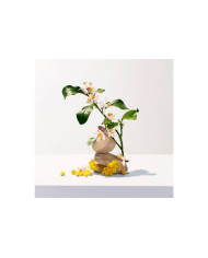 ROGER & GALLET DUCHA EN GEL PERFUMADO NÉROLI 200ML