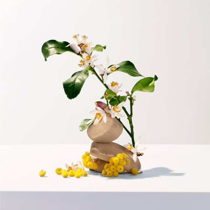 ROGER & GALLET DUCHA EN GEL PERFUMADO NÉROLI 200ML