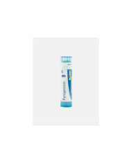 PYROGENIUM 9CH – 80 GRÂNULOS – BOIRON