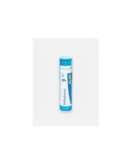 BELLADONNA 9CH – 80 GRÂNULOS – BOIRON