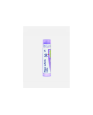 HEPAR SULPHURIS CALCAREUM 30CH – 80 GRÂNULOS – BOIRON