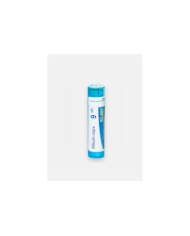 ALLIUM CEPA 9CH – 80 GRÂNULOS – BOIRON