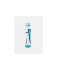 KALIUM BICHROMICU 9CH – 80 GRÂNULOS – BOIRON