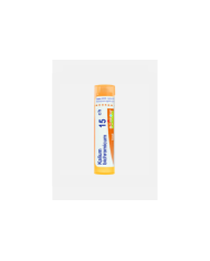 KALIUM BICHROMICU 15CH – 80 GRÂNULOS – BOIRON