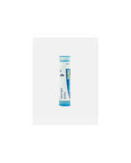 SPONGIA TOSTA 9CH – 80 GRÂNULOS – BOIRON