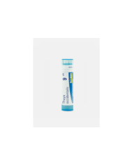 THUYA OCCIDENTALI 9CH – 80 GRÂNULOS – BOIRON