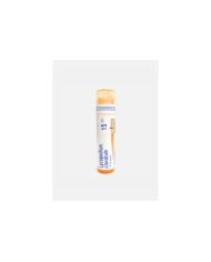 LYCOPODIUM CLAVAT 15CH – 80 GRÂNULOS – BOIRON