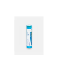 ARSENICUM ALBUM 9CH – 80 GRÂNULOS – BOIRON