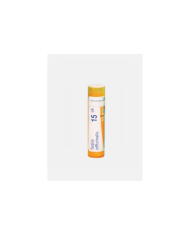 SEPIA OFFICINALIS 15CH – 80 GRÂNULOS – BOIRON