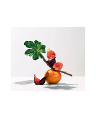 ROGER & GALLET FLEUR DE FIGUIER  SABONETE 3x100g